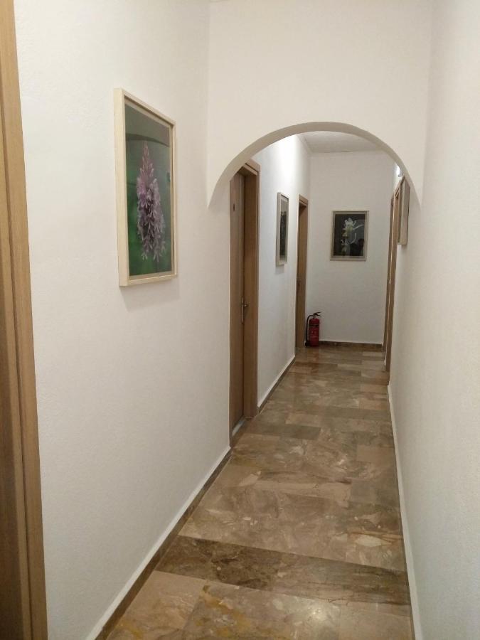 Calypso Daire Agia Roumeli Dış mekan fotoğraf